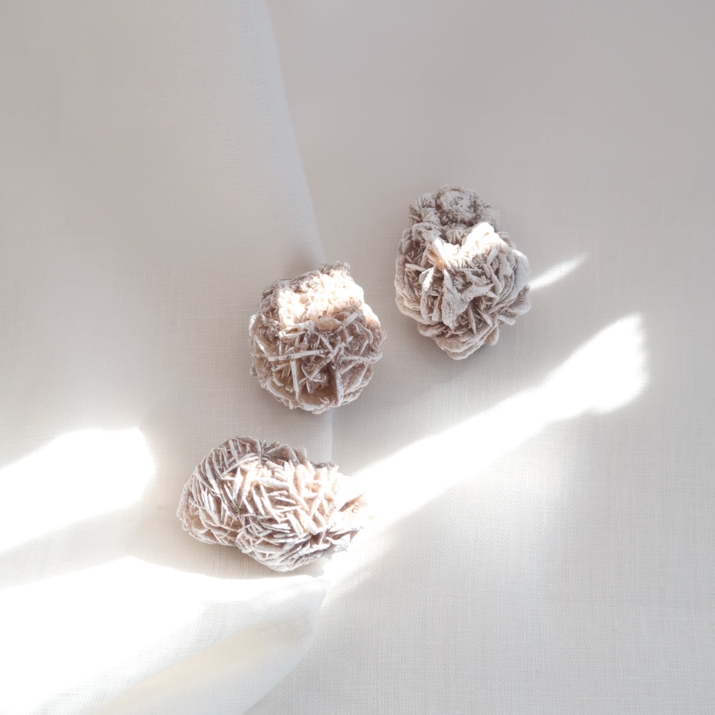 Three Natural Raw White and Beige Desert Rose Crystal Clusters