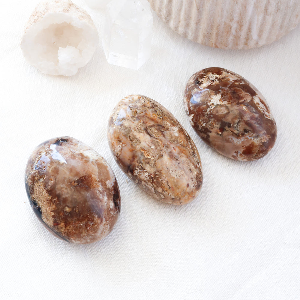 
                  
                    Natural Polished Brown and Cream Chocolate Opal Crystal Palm Stones
                  
                