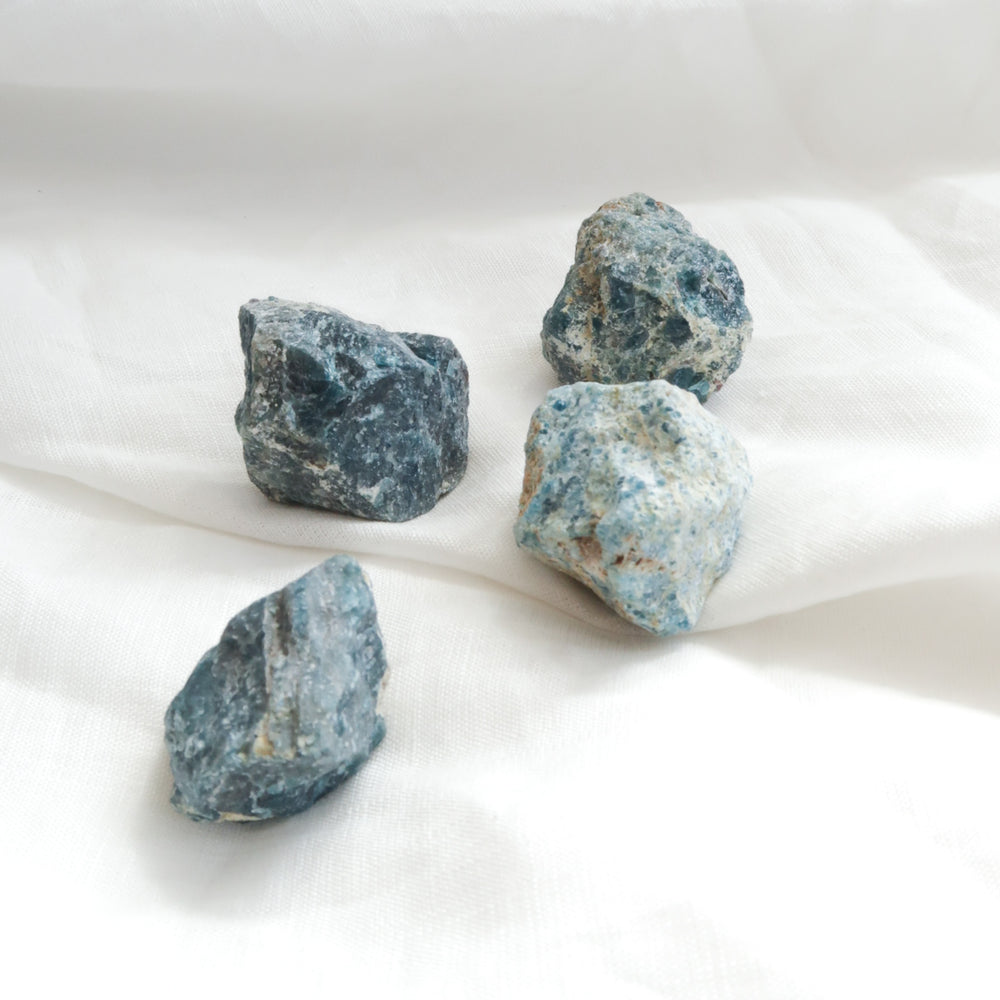 
                  
                    Four Small Natural Blue and Green Rough Apatite Crystal Pieces
                  
                